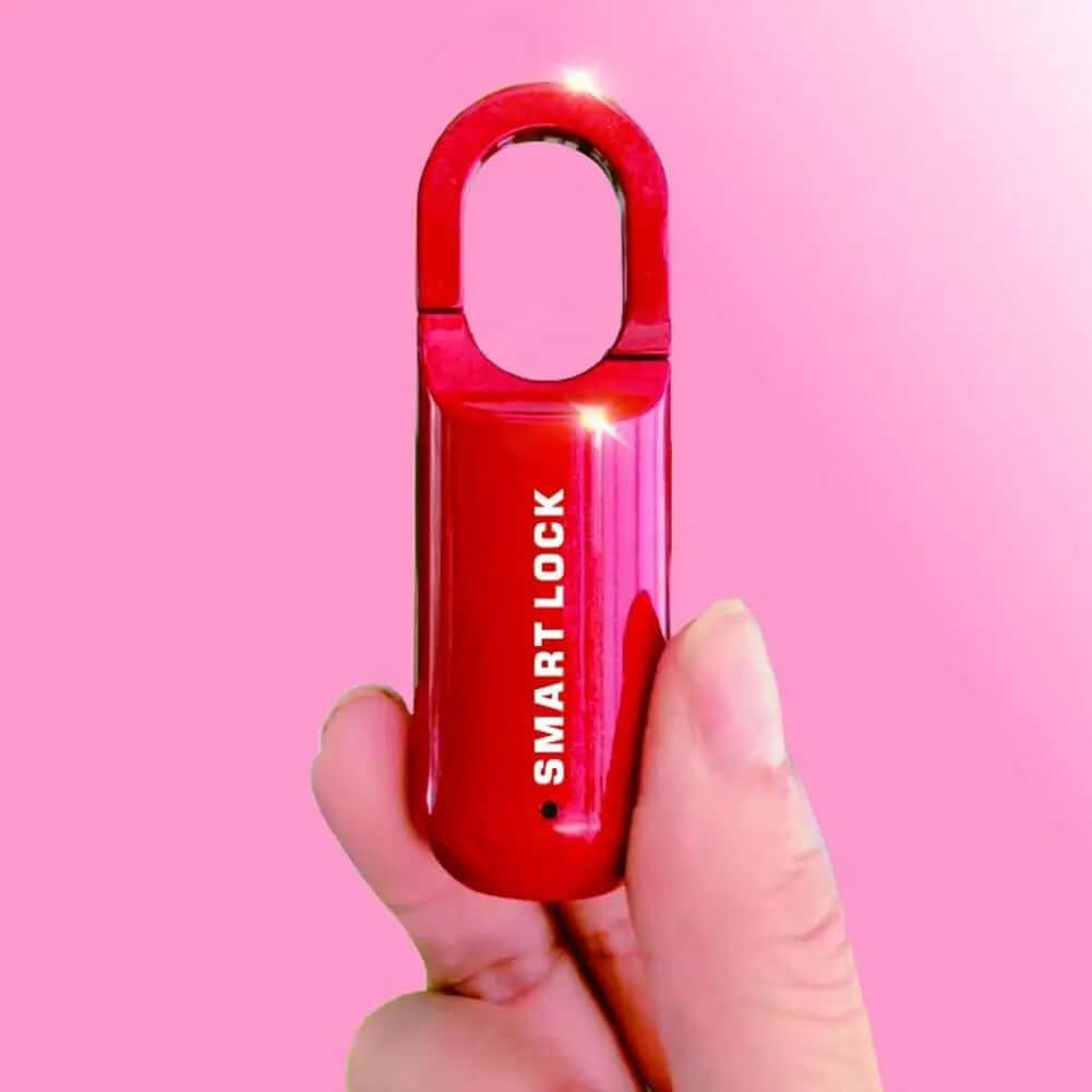 SmartLock Pro